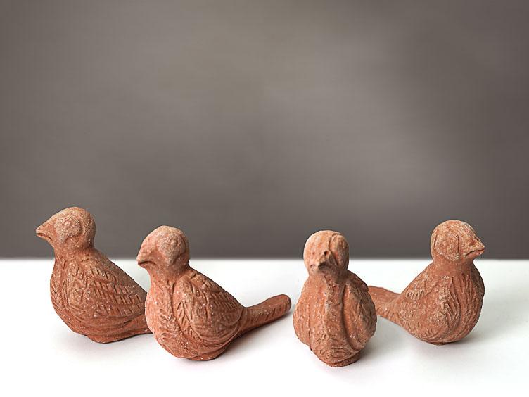 Kleine Vögel